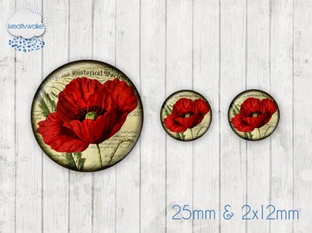 Motiv-Cabochon Set 079 