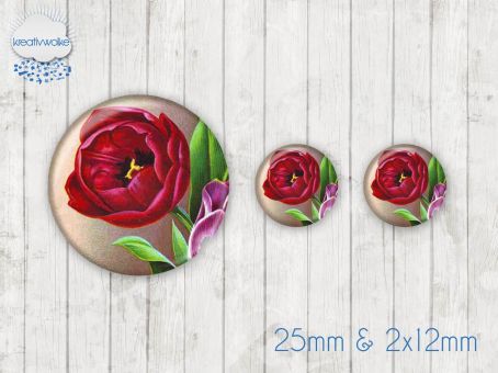 Motiv-Cabochon Set 099 