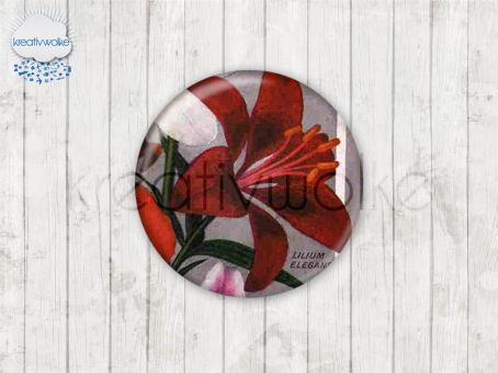 Motiv-Cabochons 108-4 Einzelset  