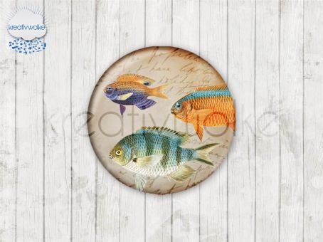 Motiv-Cabochons 123-5 Einzelset  