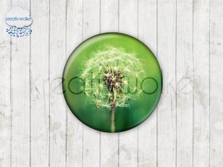 Motiv-Cabochons 174-5 Einzelset  
