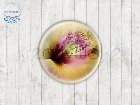 Motiv-Cabochons 192-4 Einzelset  