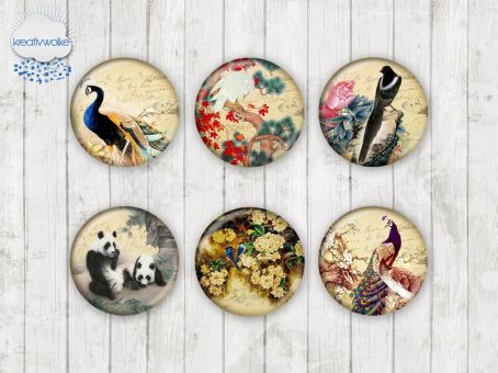 Motiv-Cabochons 161 25mm (6 Stk)