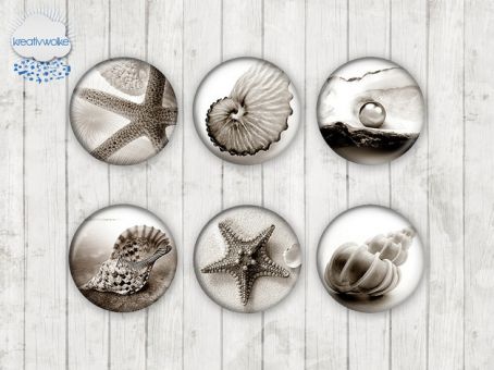 Motiv-Cabochons 0320 25mm (6 Stk)