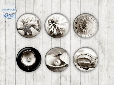 Motiv-Cabochons 321 18mm (6 Stk)