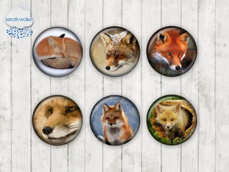 Motiv-Cabochons 336 