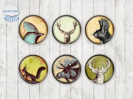 Motiv-Cabochons 568 12mm (12 Stk)