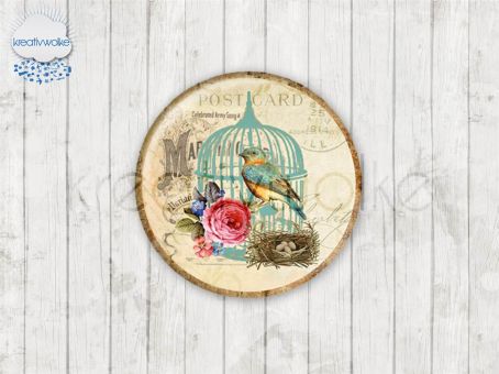 Motiv-Cabochons 209-1 Einzelset  