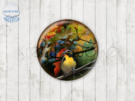Motiv-Cabochons 215-2 Einzelset  