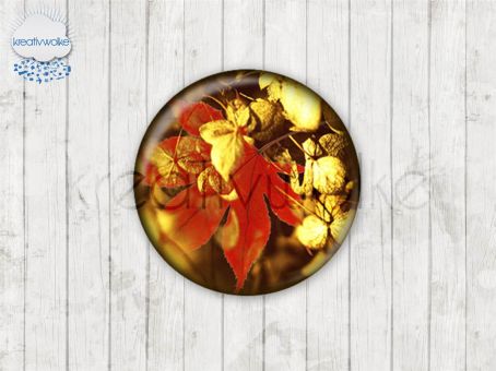Motiv-Cabochons 217-2 Einzelset  