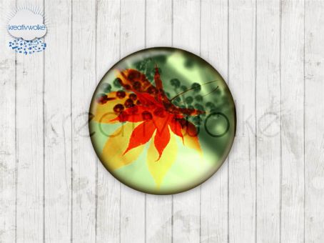 Motiv-Cabochons 217-6 Einzelset  