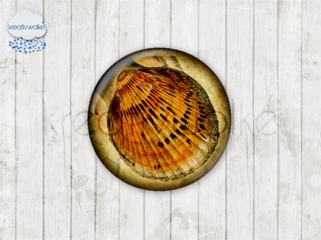 Motiv-Cabochons 240-4 Einzelset  