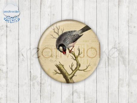 Motiv-Cabochons 247-4 Einzelset  