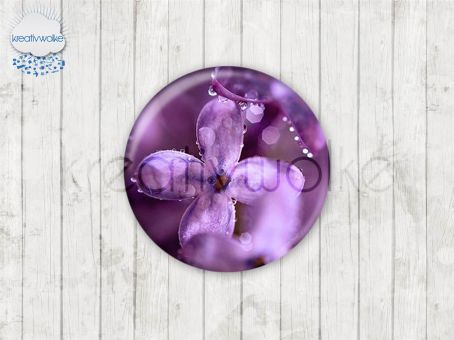 Motiv-Cabochons 259-6 Einzelset  