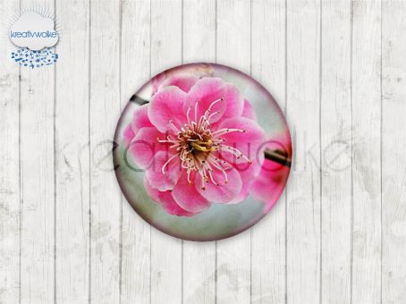 Motiv-Cabochons 465-6 Einzelset  